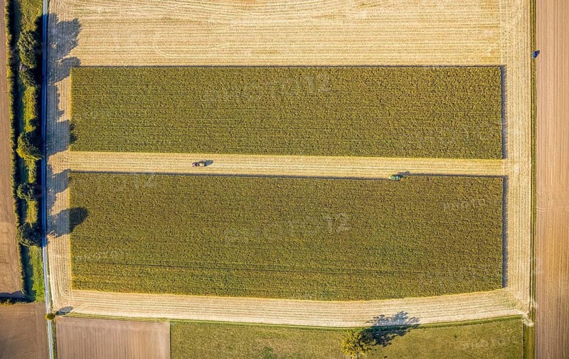 Aerial view, meadows and fields, harvest time, Herzfeld, Lippetal, Kreis Soest, North Rhine-Westphalia, Germany, tree row, DE, Europe, Kreis-Soest-Buch, KreisSoestBuch, aerial view, aerial photography, aerial photography, shadow casting, tractor, overview, bird's-eye view, overview