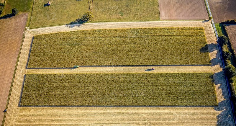 Aerial view, meadows and fields, harvest time, Herzfeld, Lippetal, Kreis Soest, North Rhine-Westphalia, Germany, DE, Europe, Kreis-Soest-Buch, KreisSoestBuch, aerial view, aerial photography, aerial photography, tractor, overview, bird's-eye view, overview