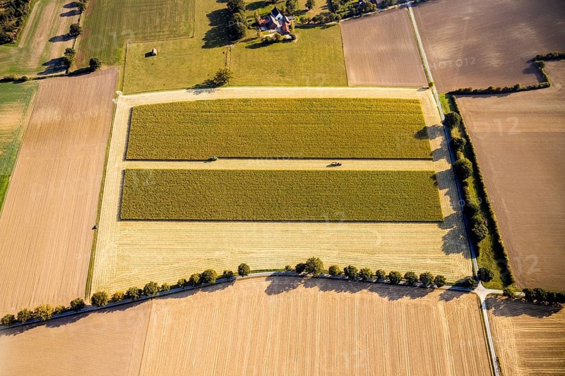 Aerial view, meadows and fields, harvest time, Herzfeld, Lippetal, Kreis Soest, North Rhine-Westphalia, Germany, row of trees at the roadside, DE, Europe, Kreis-Soest-Buch, KreisSoestBuch, aerial view, aerial photography, aerial photography, shadow casting, tractor, overview, bird's-eye view, overview