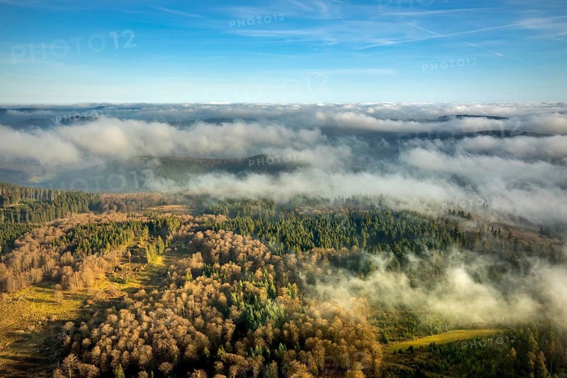 Aerial view, sea of clouds over forest area, Bödefeld, Schmallenberg, Sauerland, North Rhine-Westphalia, Germany, DE, Europe, distant view, shapes and colours, hilly landscape, aerial view, aerial photography, aerial photography, overview, bird's-eye view, forest, clouds, birds-eyes view, overview