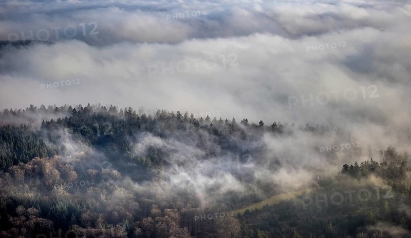 Aerial view, sea of clouds over forest area, Bödefeld, Schmallenberg, Sauerland, North Rhine-Westphalia, Germany, DE, Europe, shapes and colours, hilly landscape, aerial view, aerial photography, aerial photography, overview, bird's eye view, forest, clouds, birds-eyes view, overview