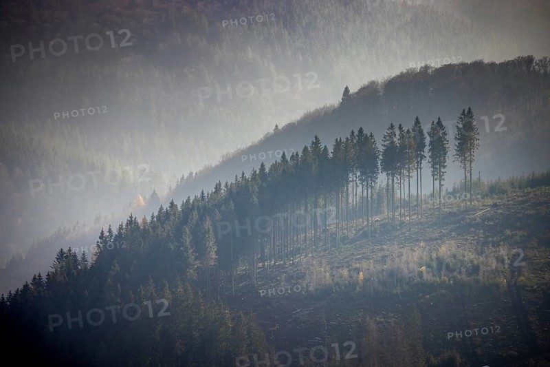 Aerial view, hilltop in fog, forest damage, Bödefeld, Schmallenberg, Sauerland, North Rhine-Westphalia, Germany, bark beetle, DE, Europe, shapes and colours, hilly landscape, aerial view, aerial photography, aerial photography, overview, bird's-eye view, forest, forest area, forest dieback, birds-eyes view, overview