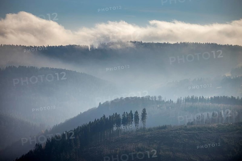 Aerial view, hilltop in fog, forest damage, Bödefeld, Schmallenberg, Sauerland, North Rhine-Westphalia, Germany, bark beetle, DE, Europe, shapes and colours, hilly landscape, aerial view, aerial photography, aerial photography, overview, bird's-eye view, forest, forest area, forest dieback, birds-eyes view, overview