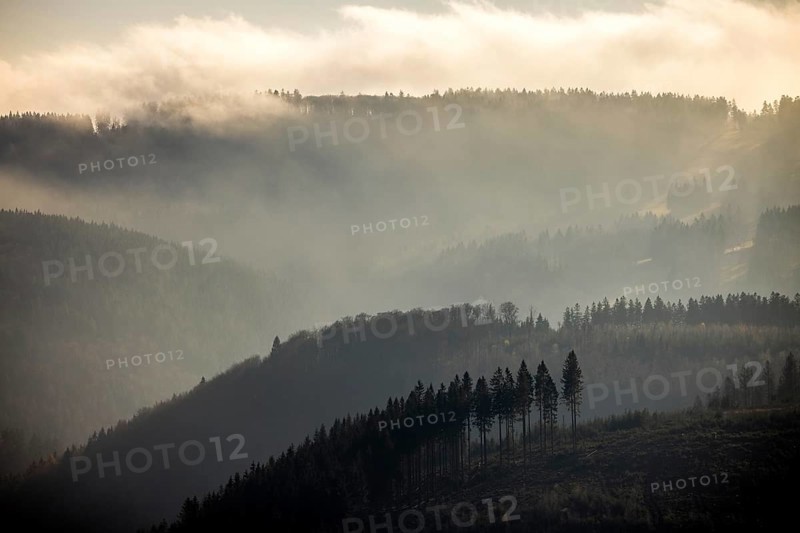 Aerial view, hilltop in fog, forest damage, Bödefeld, Schmallenberg, Sauerland, North Rhine-Westphalia, Germany, bark beetle, DE, Europe, shapes and colours, hilly landscape, aerial view, aerial photography, aerial photography, overview, bird's-eye view, forest, forest area, forest dieback, birds-eyes view, overview