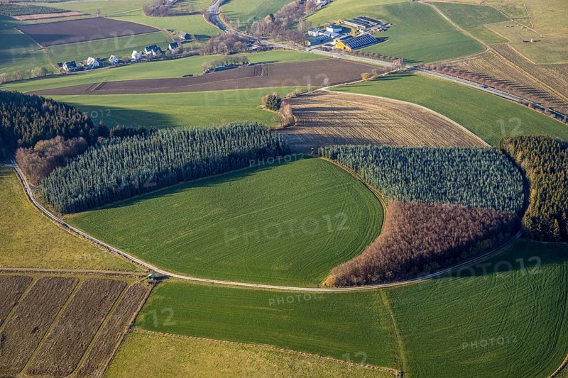Aerial view, meadows and forest pattern near Bödefeld, Westernbödefeld, Schmallenberg, Sauerland, North Rhine-Westphalia, Germany, DE, Europe, shapes and colours, circular shape, aerial view, aerial photography, aerial photography, overview, bird's-eye view, overview, forest conservation, tree planting, YingYang pattern