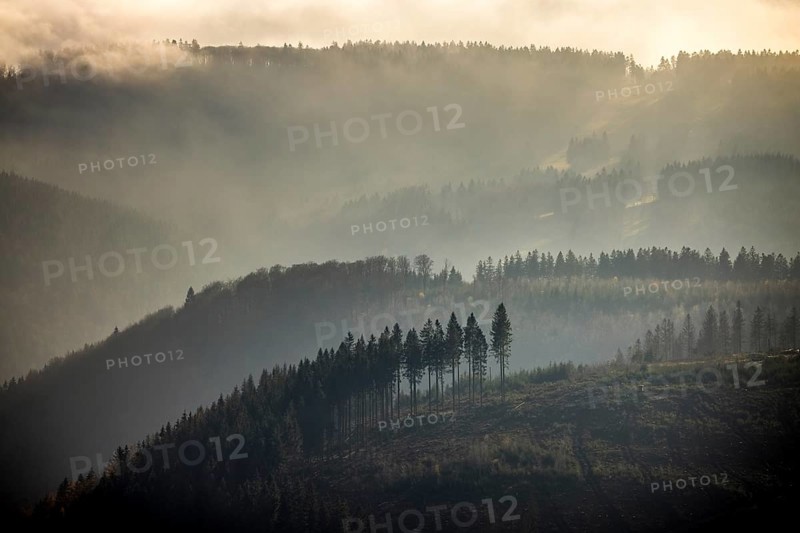 Aerial view, hilltop in fog, forest damage, Bödefeld, Schmallenberg, Sauerland, North Rhine-Westphalia, Germany, bark beetle, DE, Europe, shapes and colours, hilly landscape, aerial view, aerial photography, aerial photography, overview, bird's-eye view, forest, forest area, forest dieback, birds-eyes view, overview