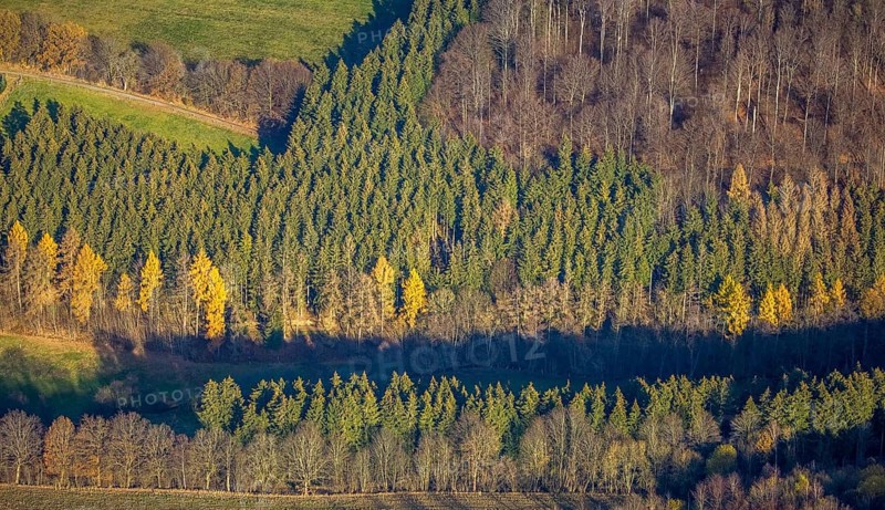 Aerial view, forest area forest dieback, Westernbödefeld, Schmallenberg, Sauerland, North Rhine-Westphalia, Germany, DE, Europe, autumn colours, aerial view, aerial photography, aerial photography, mixed forest, overview, bird's-eye view, forest, forest area, forest damage, forest dieback, birds-eyes view, overview