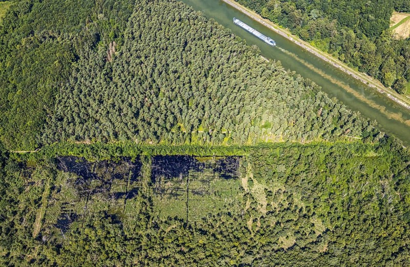 Aerial photograph, forest damage, Venner Moor nature reserve, ship on the Dortmund-Ems Canal, Senden, Münsterland, North Rhine-Westphalia, Germany, forestation, inland navigation, DE, Europe, goods transport, goods transport, cargo ships, logistics, aerial photograph, aerial photography, aerial photography, ship, shipping, shipping traffic, overview, bird's eye view, forest, forest area, forest dieback, forest area, bird's eye view, overview