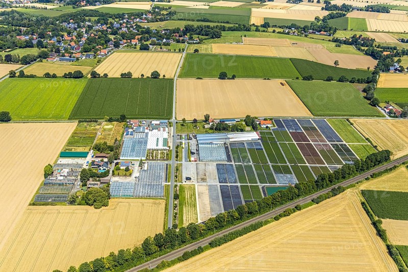 Aerial view, garden centre, bedding plants, Blumen Klemke, Hattrop, Soest, Soester Börde, North Rhine-Westphalia, Germany, DE, Europe, birds-eyes view, aerial photography, aerial photography, overview, overview, bird's eye view