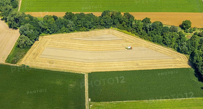 Aerial photo, harvest, combine harvester, hedgerows, grain harvest, paradises, Soest, Soester Börde, North Rhine-Westphalia, Germany, DE, Europe, birds-eyes view, aerial view, aerial photography, aerial photography, overview, bird's eye view
