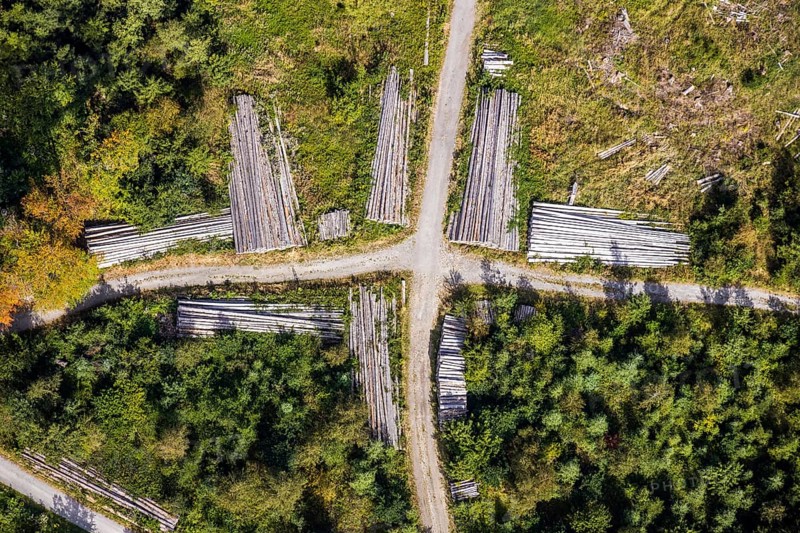Aerial view, cleared forest areas, Waldemei, Menden, Sauerland, Märkischer Kreis, North Rhine-Westphalia, Germany, tree trunks, DE, Europe, shapes and colours, cross shape, crossing, aerial photograph, aerial photography, aerial photography, overview, bird's eye view, forest pieces, forest path, birds-eyes view, cleared trees, overview, timber camp, path crossing, path crossing, forest path crossing, forestry, symmetrical crossing, shapes, graphic