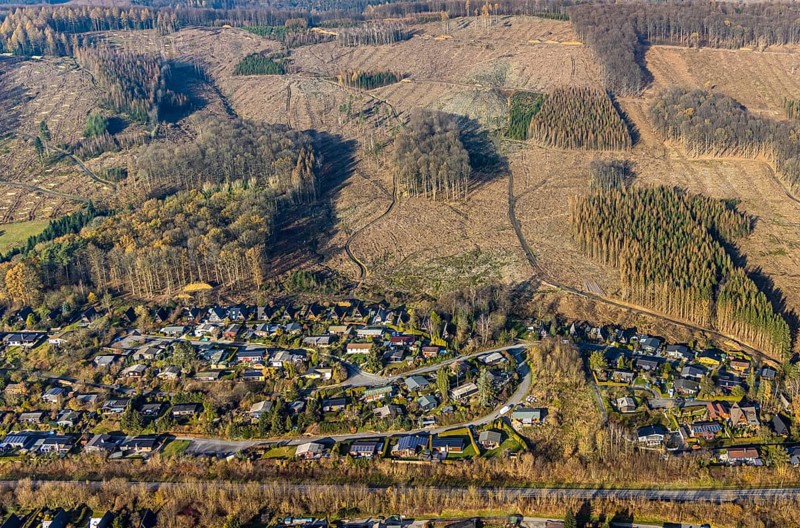 Aerial view, forest damage, deforestation, holiday settlement, holiday homes, view of Frenkhausen, Meschede, Sauerland, North Rhine-Westphalia, Germany, DE, Europe, aerial view, aerial photography, aerial photography, overview, bird's eye view, forest, forest area, forest dieback, birds-eyes view, overview
