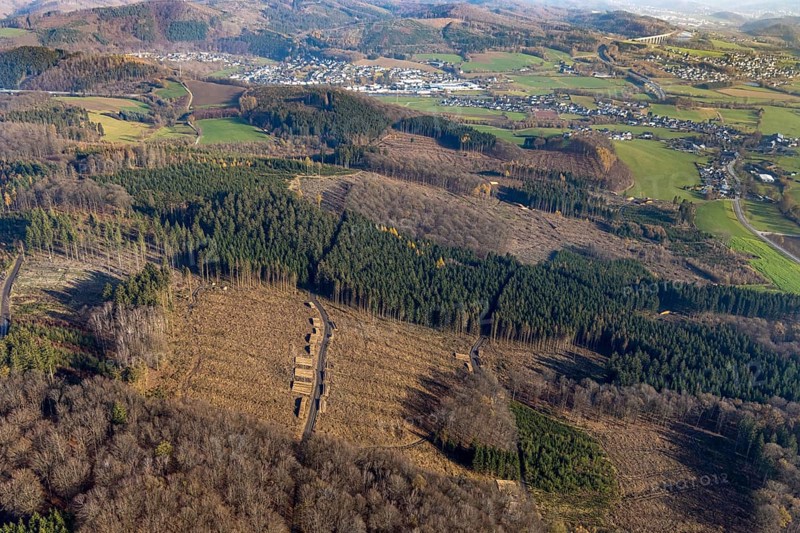 Aerial photo, forest damage, deforestation, Frenkhausen, Meschede, Sauerland, North Rhine-Westphalia, Germany, DE, Europe, aerial photo, aerial photography, aerial photography, overview, bird's-eye view, forest, forest area, forest dieback, birds-eyes view, overview