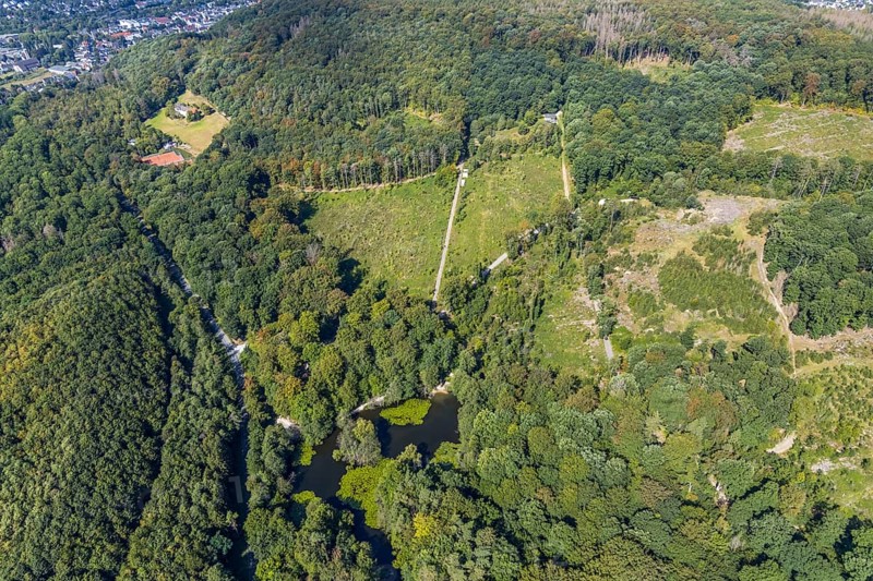 Aerial view, witches pond, cleared forest areas, Menden, Sauerland, Märkischer Kreis, North Rhine-Westphalia, Germany, DE, Europe, aerial view, aerial photography, aerial photography, pond, overview, bird's-eye view, forest area, birds-eyes view, overview
