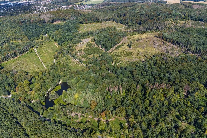 Aerial view, witches pond, cleared forest areas, Menden, Sauerland, Märkischer Kreis, North Rhine-Westphalia, Germany, DE, Europe, aerial view, aerial photography, aerial photography, pond, overview, bird's-eye view, forest area, birds-eyes view, overview