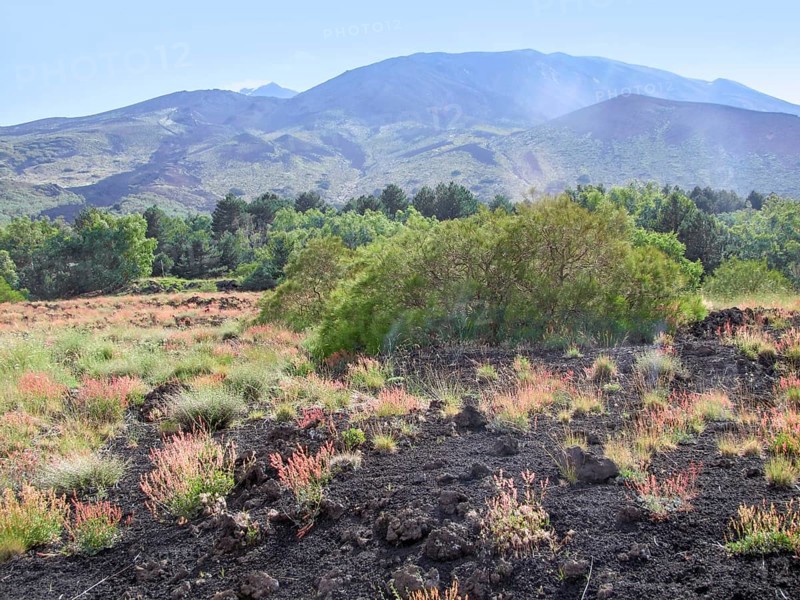 Sunny illuminated natural scenery around Mount Etna in Sicily
