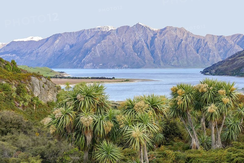 Idyllic scenery around Lake Hawea in New Zealand