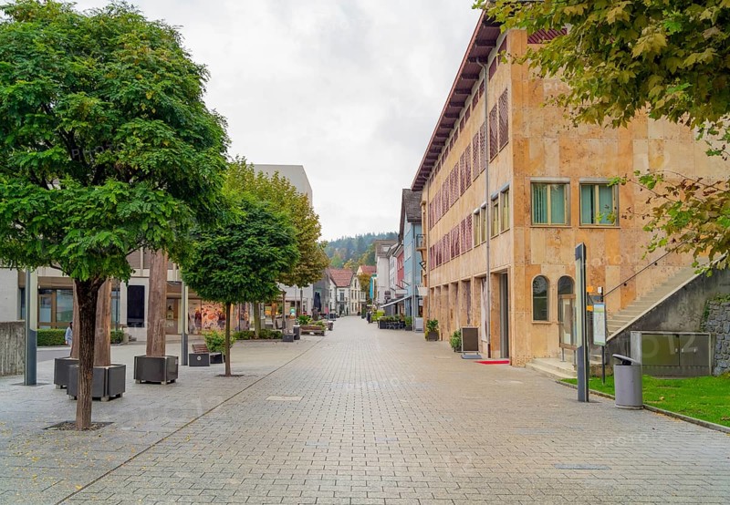 Impression of Vaduz, the capital city of Liechtenstein at autumn time