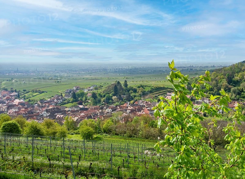 Scenery around Sankt Martin, a municipality in the Southern Wine Route area in Rhineland-Palatinate in Germany