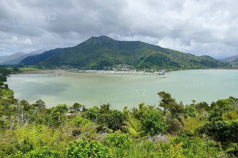 Coastal scenery around Havelock in the Marlborough Region in New Zealand