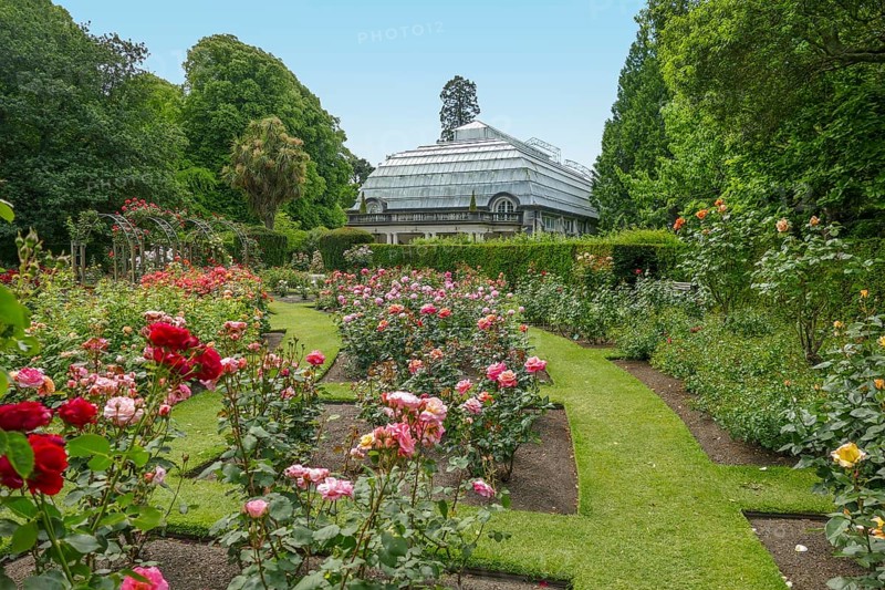 Scenery around Christchurch Botanic Gardens in New Zealand