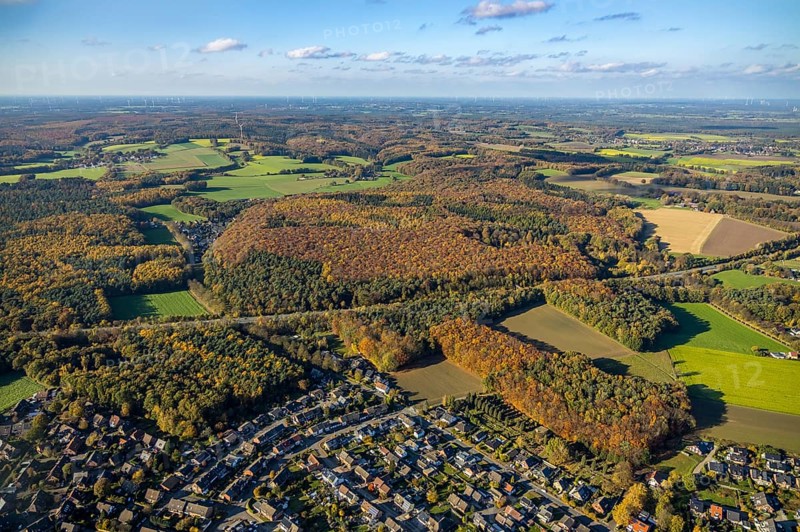Aerial view, forest area, Holtwick, planned wind turbines, Haltern am See, Ruhr area, North Rhine-Westphalia, Germany, DE, Europe, distant view, autumn colours, aerial view, aerial photography, aerial photography, mixed forest, overview, bird's-eye view, WTG, forest, forest dieback, wind energy, wind turbine, wind power, wind turbine, wind turbines, birds-eyes view, overview, autumn, autumn leaves, golden October, autumnal