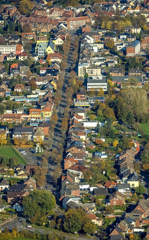 Aerial view, tree avenue Weseler Straße, Haltern-Stadt, Haltern am See, Ruhr area, North Rhine-Westphalia, Germany