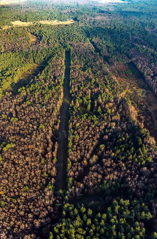 Aerial view of the forest area at Hasenberg with tree clearing in the district Lochtrup in Haltern am See in the Ruhr area in North Rhine-Westphalia, Germany, tree, tree clearing, DE, Europe, Haltern am See, autumn colours, aerial view, aerial photograph, aerial photography, aerial photography, North Rhine-Westphalia, Ruhr area, overview, bird's-eye view, forest, forest area, birds-eyes view, overview