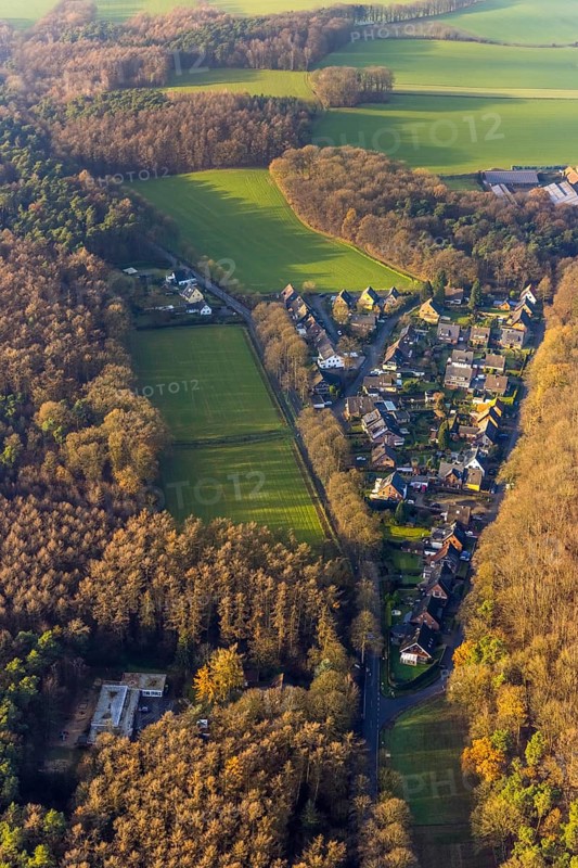 Aerial view of a forest settlement Holtwicker Straße in the district Holtwick in Haltern am See in the Ruhr area in North Rhine-Westphalia, Germany, DE, Europe, property tax, Haltern am See, real estate, aerial view, aerial photograph, aerial photography, aerial photography, North Rhine-Westphalia, Ruhr area, overview, bird's-eye view, forest area, residential area, housing and living, residential area, residential buildings, quality of living, residential neighbourhood, housing estate, birds-eyes view, overview
