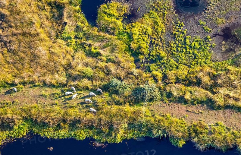 Aerial photo, Großes Torfmoor, Gehlenbeck, Hille, Lübbecke, Ostwestfalen-Lippe, OWL, North Rhine-Westphalia, Germany, DE, Europe, Hiller Moor, raised bog, aerial photo, aerial photography, aerial photography, moor, nature reserve Großes Torfmoor, Nettelstedter Moor, OWL book, OWL book, Ostwestfalen book, Torfmoor Lübbecke, overview, bird's eye view, birds-eyes view, overview