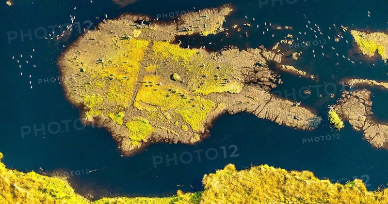 Aerial photo, Großes Torfmoor, Gehlenbeck, water areas with water birds, Hille, Lübbecke, Ostwestfalen-Lippe, OWL, North Rhine-Westphalia, Germany, DE, Europe, Hiller Moor, raised bog, aerial photograph, aerial photography, aerial photography, moor, nature reserve Großes Torfmoor, Nettelstedter Moor, OWL book, OWL book, Ostwestfalen book, Torfmoor Lübbecke, overview, bird's-eye view, birds-eyes view, overview
