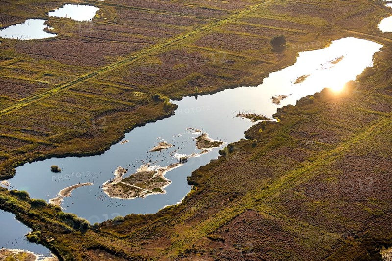 Aerial photo, Großes Torfmoor, Gehlenbeck, Hille, Lübbecke, Ostwestfalen-Lippe, OWL, North Rhine-Westphalia, Germany, DE, Europe, Hiller Moor, raised bog, aerial photo, aerial photography, aerial photography, moor, nature reserve Großes Torfmoor, Nettelstedter Moor, OWL book, OWL book, Ostwestfalen book, Torfmoor Lübbecke, overview, bird's eye view, birds-eyes view, overview