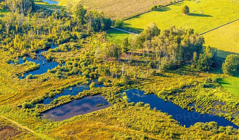 Aerial photo, Großes Torfmoor, Gehlenbeck, Hille, Lübbecke, Ostwestfalen-Lippe, OWL, North Rhine-Westphalia, Germany, DE, Europe, Hiller Moor, raised bog, aerial photo, aerial photography, aerial photography, moor, nature reserve Großes Torfmoor, Nettelstedter Moor, OWL book, OWL book, Ostwestfalen book, Torfmoor Lübbecke, overview, bird's eye view, birds-eyes view, overview