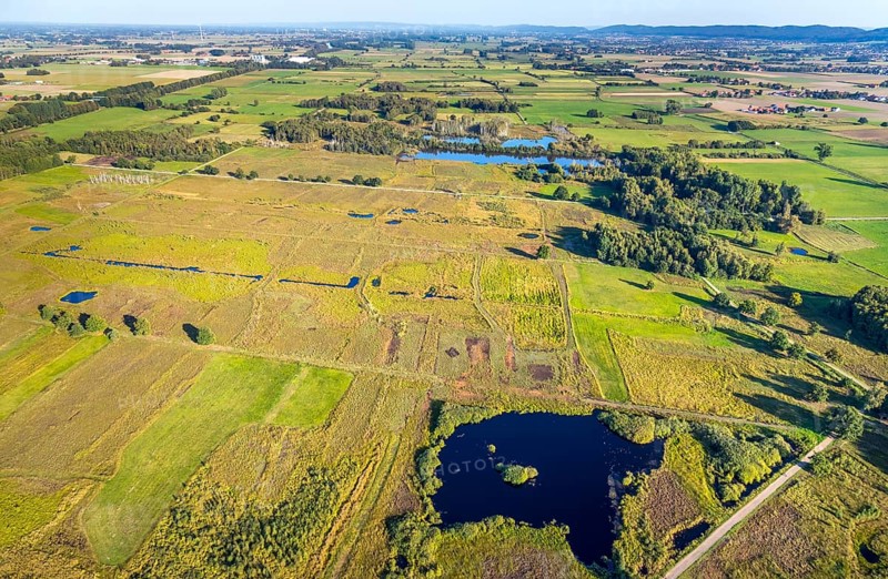 Aerial photo, Großes Torfmoor, Gehlenbeck, Hille, Lübbecke, Ostwestfalen-Lippe, OWL, North Rhine-Westphalia, Germany, DE, Europe, Hiller Moor, raised bog, aerial photo, aerial photography, aerial photography, moor, nature reserve Großes Torfmoor, Nettelstedter Moor, OWL book, OWL book, Ostwestfalen book, Torfmoor Lübbecke, overview, bird's eye view, birds-eyes view, overview
