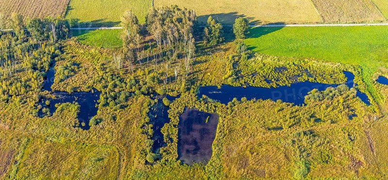 Aerial photo, Großes Torfmoor, Gehlenbeck, Hille, Lübbecke, Ostwestfalen-Lippe, OWL, North Rhine-Westphalia, Germany, DE, Europe, Hiller Moor, raised bog, aerial photo, aerial photography, aerial photography, moor, nature reserve Großes Torfmoor, Nettelstedter Moor, OWL book, OWL book, Ostwestfalen book, Torfmoor Lübbecke, overview, bird's eye view, birds-eyes view, overview