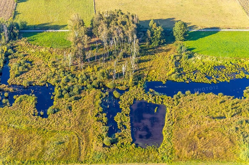 Aerial photo, Großes Torfmoor, Gehlenbeck, Hille, Lübbecke, Ostwestfalen-Lippe, OWL, North Rhine-Westphalia, Germany, DE, Europe, Hiller Moor, raised bog, aerial photo, aerial photography, aerial photography, moor, nature reserve Großes Torfmoor, Nettelstedter Moor, OWL book, OWL book, Ostwestfalen book, Torfmoor Lübbecke, overview, bird's eye view, birds-eyes view, overview