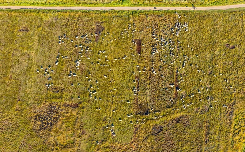 Aerial photo, Großes Torfmoor, Gehlenbeck, Hille, Lübbecke, Ostwestfalen-Lippe, OWL, North Rhine-Westphalia, Germany, DE, Europe, Hiller Moor, raised bog, aerial photo, aerial photography, aerial photography, moor, nature reserve Großes Torfmoor, Nettelstedter Moor, OWL book, OWL book, Ostwestfalen book, Torfmoor Lübbecke, overview, bird's eye view, birds-eyes view, overview