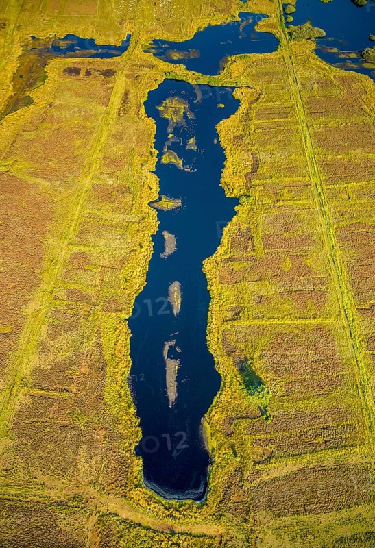 Aerial photo, Großes Torfmoor, Gehlenbeck, Hille, Lübbecke, Ostwestfalen-Lippe, OWL, North Rhine-Westphalia, Germany, DE, Europe, Hiller Moor, raised bog, aerial photo, aerial photography, aerial photography, moor, nature reserve Großes Torfmoor, Nettelstedter Moor, OWL book, OWL book, Ostwestfalen book, Torfmoor Lübbecke, overview, bird's eye view, birds-eyes view, overview
