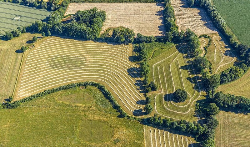 Aerial view, hay harvest, fields south of Pelkum, pattern in nature, Hamm, Ruhr area, North Rhine-Westphalia, Germany, DE, Europe, birds-eyes view, aerial photography, aerial photography, overview, bird's eye view