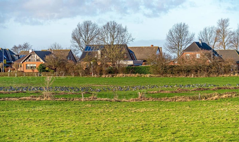 Scenery around Maasholm, a municipality in Schleswig-Holstein, Northern Germany