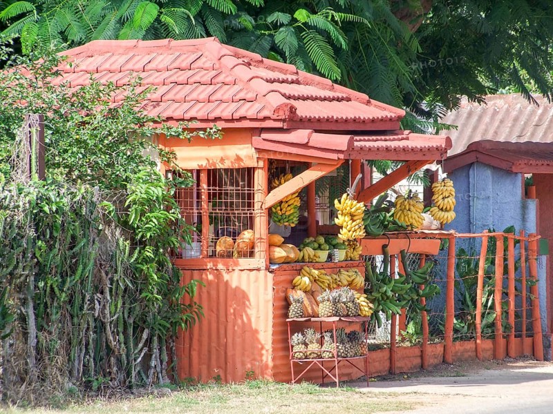 Sunny illuminated fruit stand in Cuba, a island in the Caribbean Sea