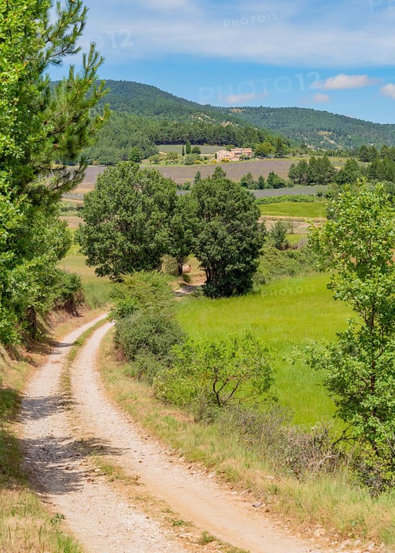 Impression around Mont Ventoux, a mountain in the Provence region of southern France