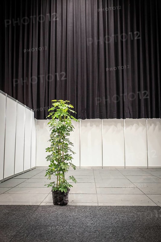 DEU Germany Germany Berlin A plant in front of an empty stand is intended to conceal the loss of exhibitors at the Green Week