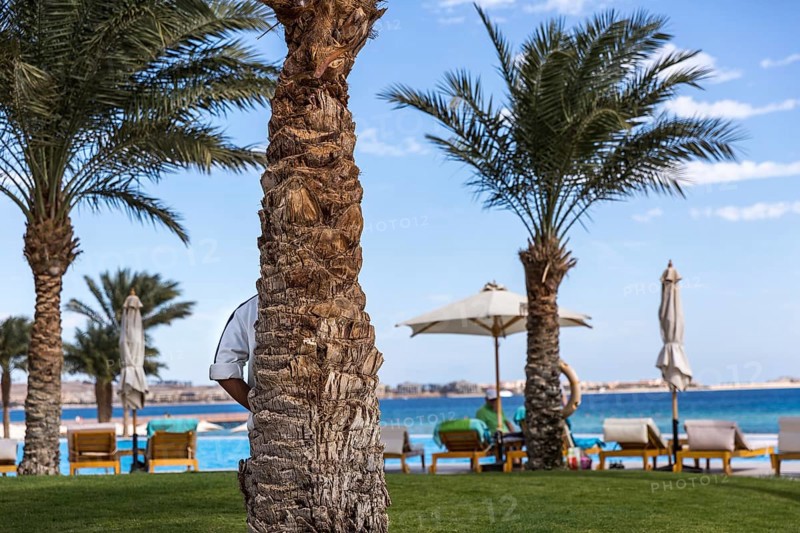 Egypt Hurghada A hotel employee watches the beach and bathers from a palm tree