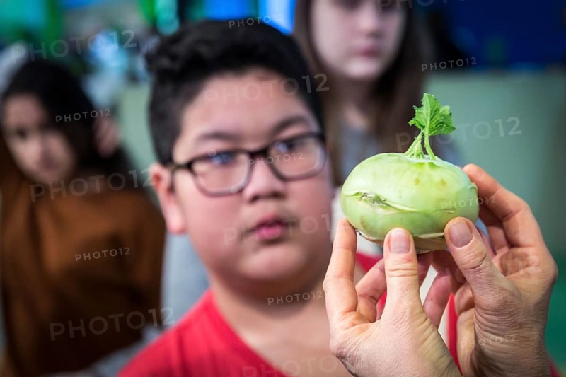 DEU Germany Germany Berlin Scene of the Green Weeks, the annual trade fair on food, agriculture and ecology. Vegetables, here kohlrabi, are explained to schoolchildren