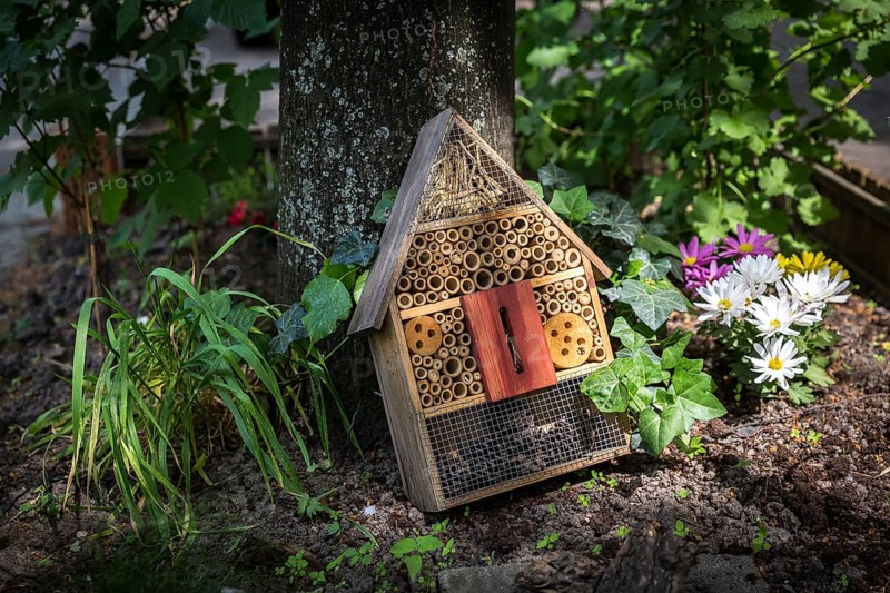 DEU Germany Germany Berlin An insect house on a pavement in Bouchéstrasse in Treptow