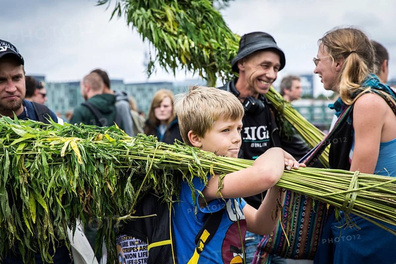DEU Germany Germany Berlin Scene of the Hemp Parade. Child with hemp plants