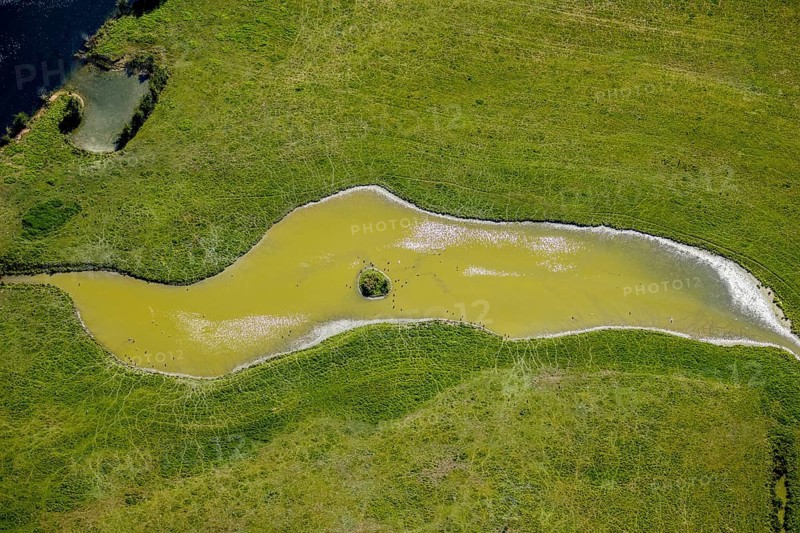 Aerial view, pond with island and water birds in the Lippe floodplains, Hamm, Ruhr area, North Rhine-Westphalia, Germany