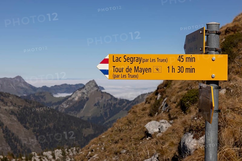 Hiking trail on the ascent to the Tour de Famelon, Lac Segray and Tour de Mayen via Les Truex Karst area, Leysin, Vaud, Switzerland