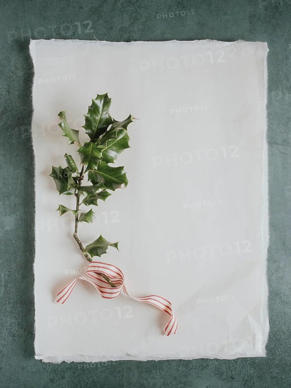 Holly sprig with a striped ribbon on blank handmade paper, creating a festive flat lay